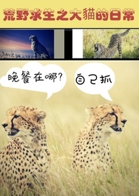 ��Ұ����֮��è���ճ�