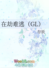 �ڽ����ӣ�GL��
