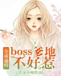 ȫ��ͨ����boss���ز�����
