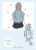 ʢ�겻����